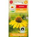 Toraf 0,2g Jeżówka Żółta Nasiona kwiatów Przyciąga motyle Bylina miododajna