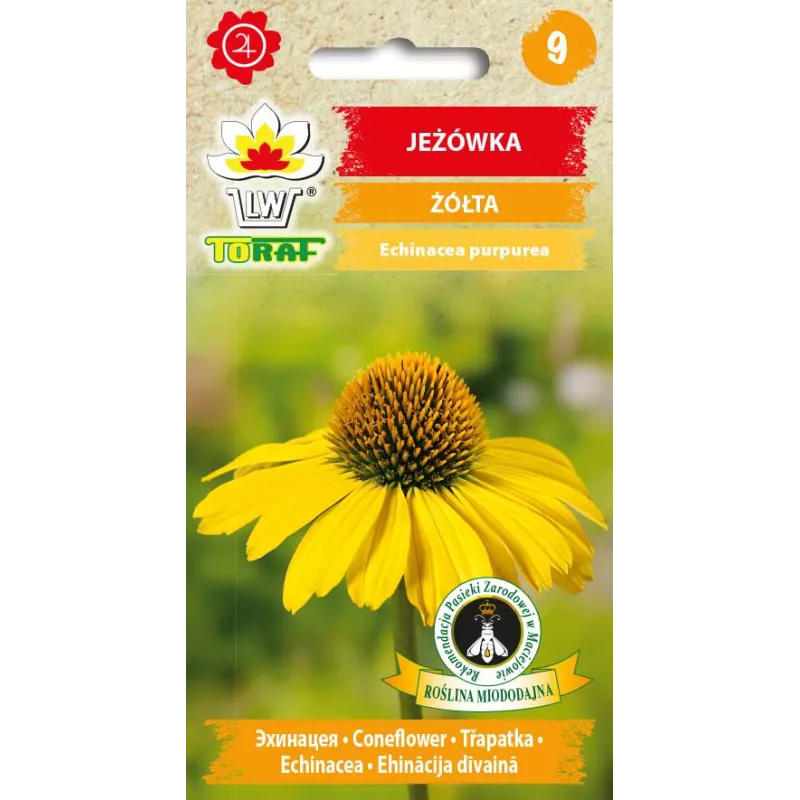 Toraf 0,2g Jeżówka Żółta Nasiona kwiatów Przyciąga motyle Bylina miododajna