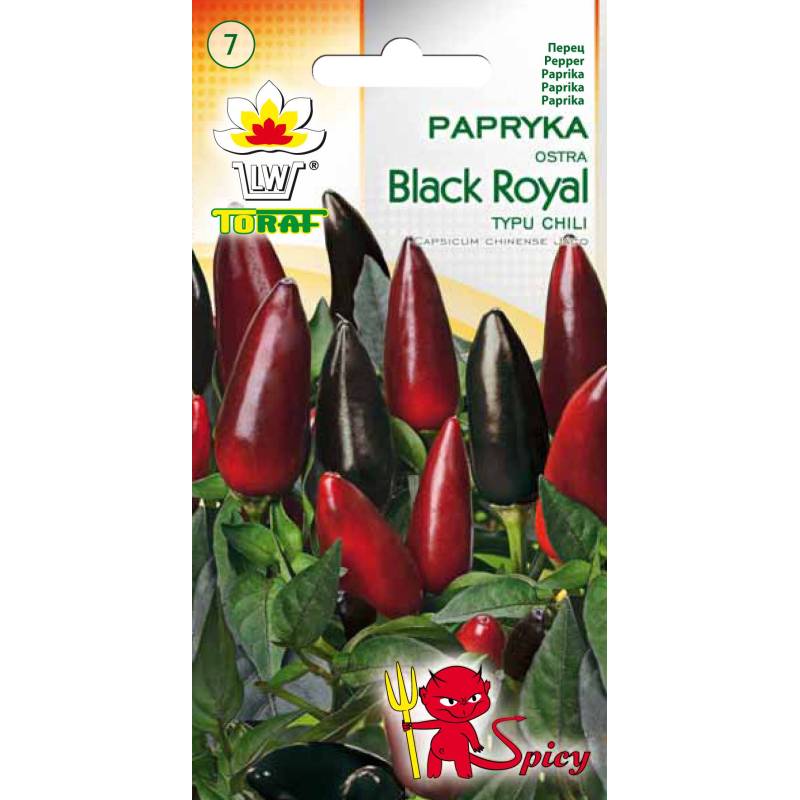 Toraf 10 szt. Papryka Ostra Royal Black Nasiona warzyw Odmiana czarna