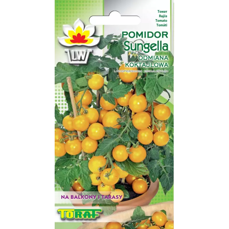 Toraf 0,5g Pomidor koktajlowy Sungella Nasiona warzyw Żółty Smaczny Słodki Balkony Tarasy
