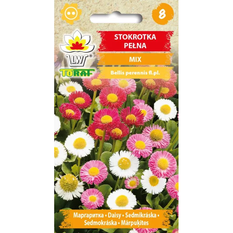 Toraf 0,2g Stokrotka pełna Mix Nasiona kwiatów Roślina dwuletnia Mieszanka kolorów