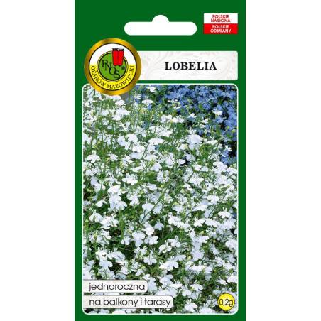 PNOS 0,2g Lobelia biała Nasiona kwiatów jednorocznych Roślina rabatowa Skalniaki