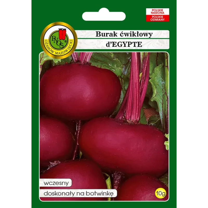 PNOS 10g Burak ćwikłowy d'Egypte Odmiana płaska wczesna plenna