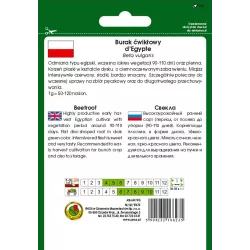PNOS 10g Burak ćwikłowy d'Egypte Odmiana płaska wczesna plenna