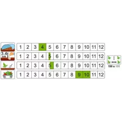 PNOS 2g Dynia olbrzymia Justynka F1 Nasiona warzyw Bardzo plenna Smaczna