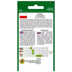 PNOS 1g Dynia Patison Orange Żółty Nasiona warzyw Średnio wczesny Soczysty Kruchy