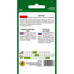 PNOS 5g Jarmuż Średniowysoki Halbhoher Gruner Krauser Nasiona warzyw Źródło witamin Sałatki