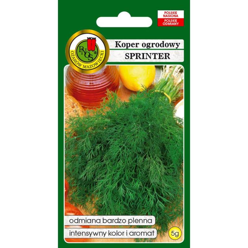 PNOS 5g Koper Sprinter Nasiona warzyw Odmiana wczesna Wydłużony zbiór Mrożenie