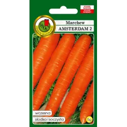 PNOS 5g Marchew Amsterdam 2 Wczesna Nasiona warzyw Słodka Soczysta