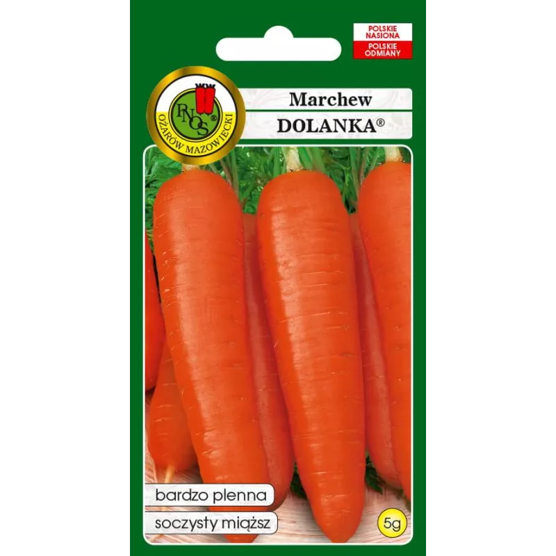 PNOS 5g Marchew Dolanka Późna Nasiona warzyw Źródło karotenu Bardzo plenna