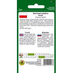 PNOS 5g Marchew Koral Późna Nasiona warzyw Bardzo plenna Źródło karotenu