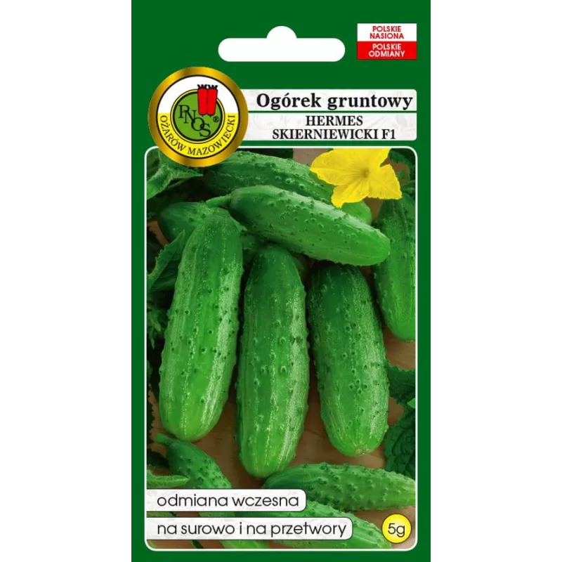 PNOS 5g Ogórek Hermes Skierniewicki Nasiona warzyw Gruntowy Wczesny Plenny