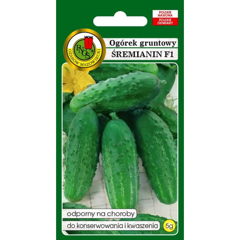 PNOS 5g Ogórek Śremianin F1 Nasiona warzyw Bardzo plenny Wczesny Wyjątkowo smaczny