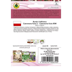 PNOS 10g Burak Czerwona Kula 2 Nasiona inkrustowane Szybsze kiełkowanie Wysoki plon