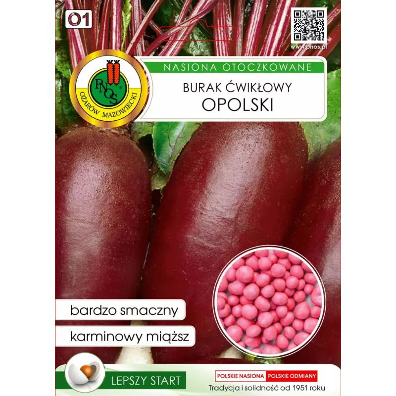 PNOS 100 szt. Burak Opolski Nasiona otoczkowane Szybsze wysiewanie Odmiana cylindryczna