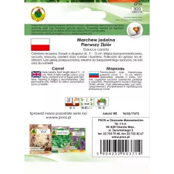 PNOS 300 szt. Marchew Pierwszy Zbiór Nasiona otoczkowane Bardzo wczesna Smaczna Soki