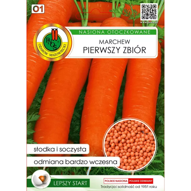 PNOS 300 szt. Marchew Pierwszy Zbiór Nasiona otoczkowane Bardzo wczesna Smaczna Soki