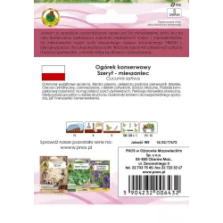 PNOS 5g Ogórek Szeryf F1 Nasiona inkrustowane Lepszy start Plenny Smaczny Odporny