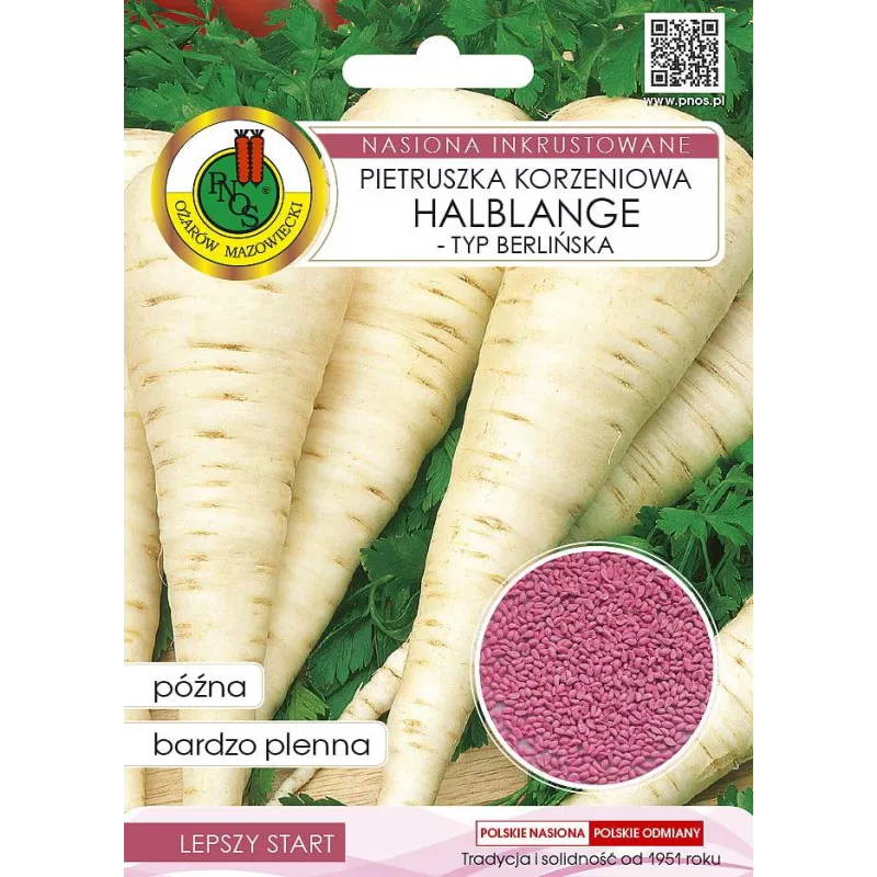 PNOS 5g Pietruszka Halblange Berlińska Nasiona inkrustowane Bardzo plenna Późna