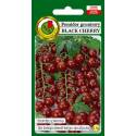 PNOS 0,5g Pomidor Black Cherry Nasiona warzyw Odmiana gruntowa Bardzo plenny Sałatki