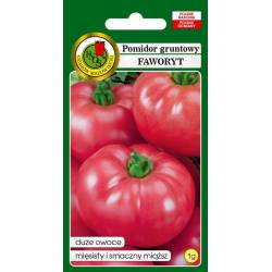 PNOS 1g Pomidor Faworyt Nasiona warzyw Odmiana gruntowa Mięsisty Duże owoce