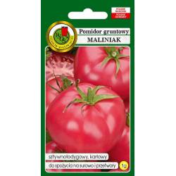 PNOS 1g Pomidor Maliniak Nasiona warzyw Odmiana karłowa Na przetwory Sałatki