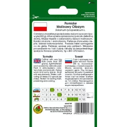 PNOS 1g Pomidor Malinowy Olbrzym Nasiona warzyw Aromatyczny Smaczny Bardzo duże owoce