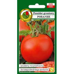 PNOS 1g Pomidor Poranek Nasiona warzyw Odmiana wczesna Nie pęka Przetwory