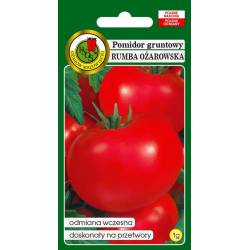 PNOS 1g Pomidor Rumba Ożarowska Nasiona warzyw Odmiana wczesna Doskonała na przetwory