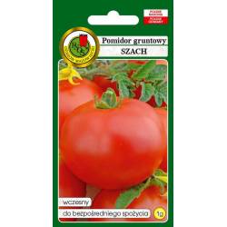 PNOS 1g Pomidor Szach Nasiona warzyw Odmiana wczesna Gruntowy Bardzo smaczny