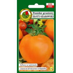 PNOS 0,5g Pomidor Złoty Ożarowski Nasiona warzyw Łatwa uprawa Smaczny mięsisty