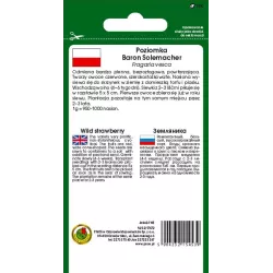 PNOS 0,5g Poziomka Baron Solemacher Nasiona Duże owoce Bogactwo witamin Smaczna