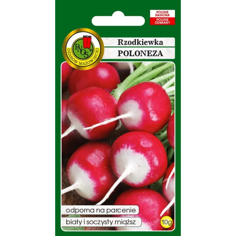 PNOS 10g Rzodkiewka Poloneza Nasiona warzyw Odporna na parcenie Biały soczysty miąższ