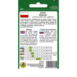 PNOS 1g Sałata Masłowa Dippego Nasiona warzyw Odmiana późna Bardzo smaczna