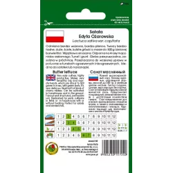 PNOS 1g Sałata Masłowa Edyta Ożarowska Nasiona warzyw Odmiana średnio wczesna Duże główki