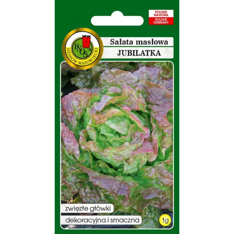 PNOS 1g Sałata Masłowa Jubilatka Nasiona warzyw Odmiana dekoracyjna smaczna Zwięzłe główki