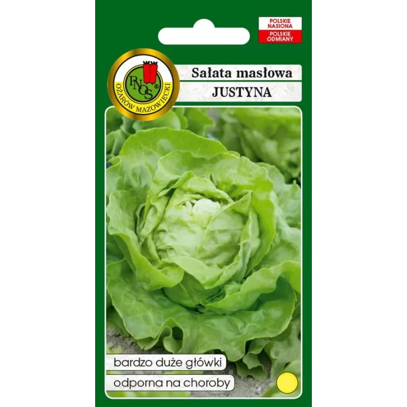 PNOS 0,4g Sałata Masłowa Justyna Nasiona warzyw Delikatna Plenna Smaczna Odporna na choroby