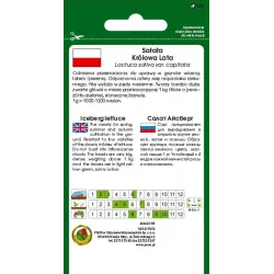 PNOS 0,4g Sałata Lodowa Królowa Lata Nasiona warzyw Bardzo duże główki Wczesna Krucha