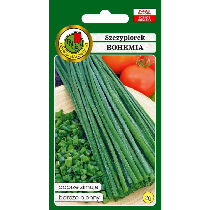 PNOS 2g Szczypiorek Bohemia Nasiona warzyw Wieloletni Zimujący Bardzo plenny