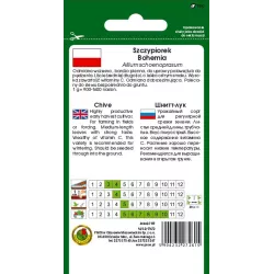 PNOS 2g Szczypiorek Bohemia Nasiona warzyw Wieloletni Zimujący Bardzo plenny