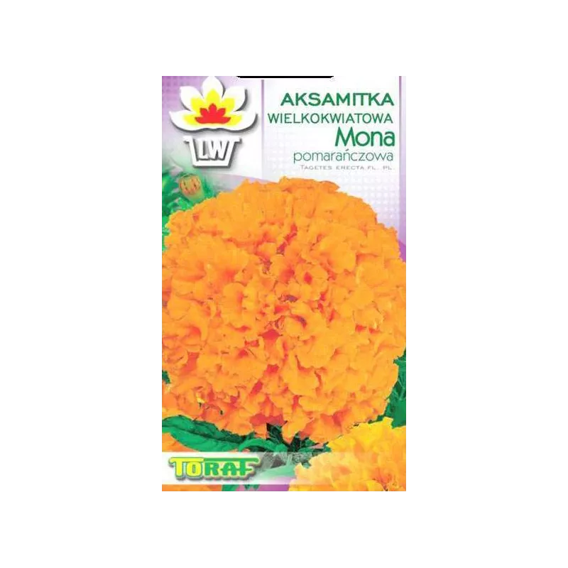 Toraf 1g Aksamitka Mona Pomarańczowa Nasiona kwiatów Pełna Wysoka Roślina jednoroczna