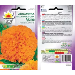 Toraf 1g Aksamitka Mona Pomarańczowa Nasiona kwiatów Pełna Wysoka Roślina jednoroczna