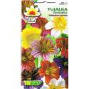 Toraf 0,3g Tujałka Zmienna Mix Nasiona kwiatów Mieszanka kolorów Żyłkowane kwiaty