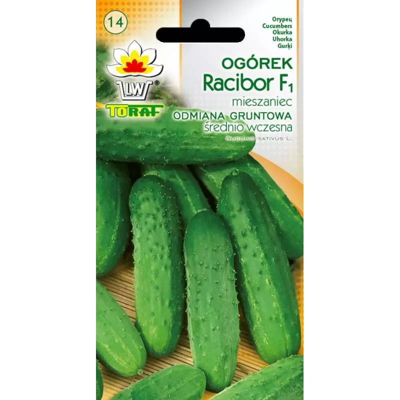 Toraf 5g Ogórek Racibor F1 Nasiona warzyw Średniowczesny Gruntowy Plenny
