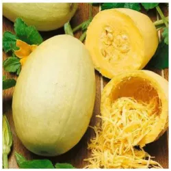 PNOS 3g Dynia zwyczajna makaronowa Pyza Nasiona warzyw Ciekawy miąższ Odporna