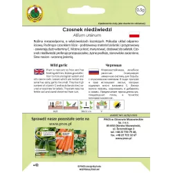 PNOS 0,5g Czosnek Niedźwiedzi Nasiona ziół Wieloletni Bardzo smaczny Leczniczy
