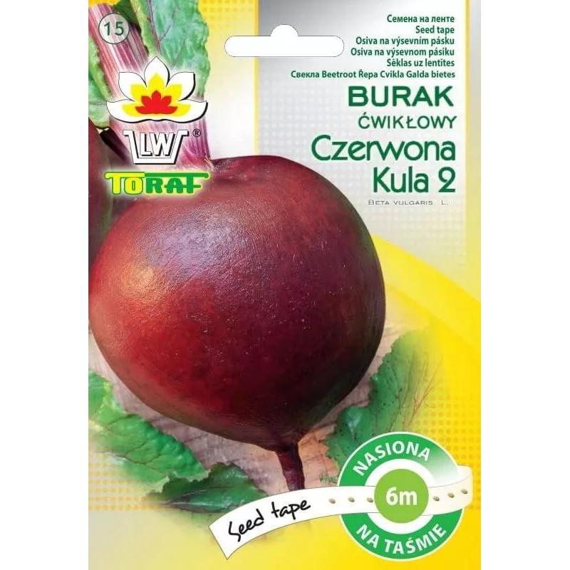Toraf 6m Burak Czerwona Kula 2 Nasiona warzyw na taśmie Ćwikłowy Plenny Długie przechowywanie