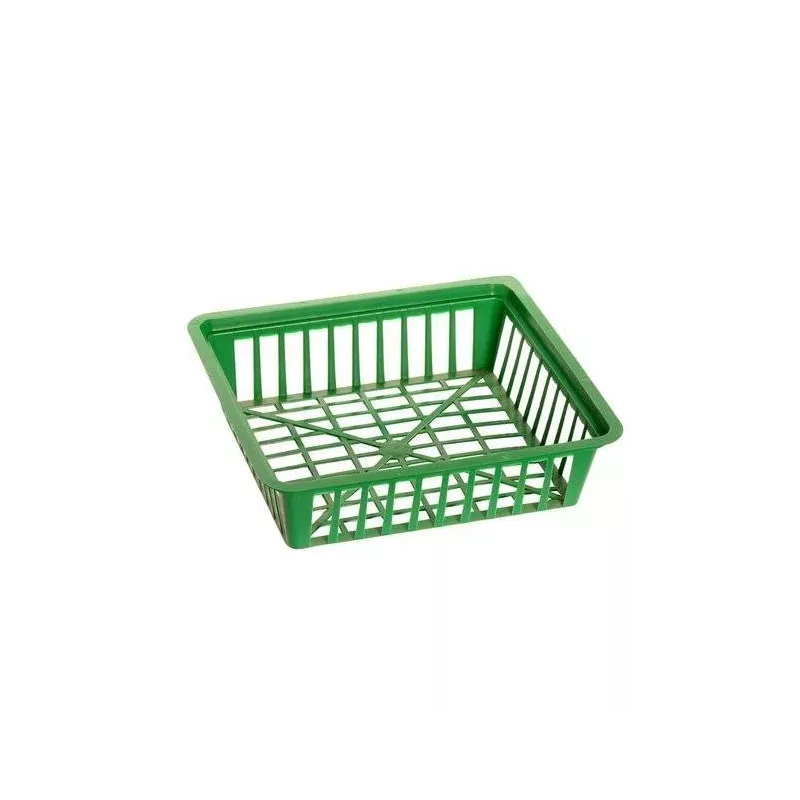Form Koszyk do cebulek Kwadrat 30cm Cebule kwiatowe Tulipan Żonkil Hiacynt