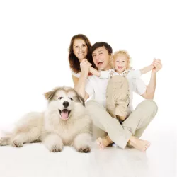 Dr Lucy 250ml Spray ułatwiający rozczesywanie sierści psa nr. 6 Nawilża Odżywia Kołtuny