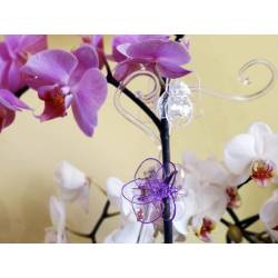POLNIX Klips do orchidei dekoracyjny Spinka Storczyk Stabilizuje pędy Przezroczysty